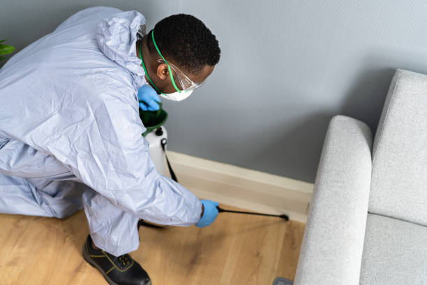 Professional Pest Control in Melrose, MA